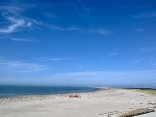 Ferienwohnung Petten Umgebung 15