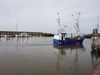 Hafen Dangast