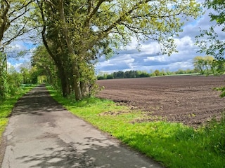 Landschaft