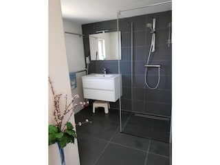 das Badezimmer mit Dusche Toiliette und Waschbecken