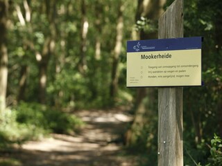 Holiday park Groesbeek Environment 29