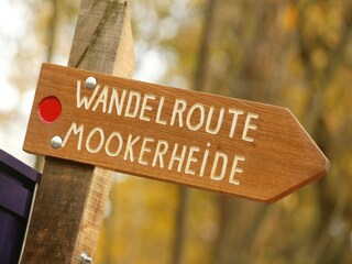 Vakantiepark Groesbeek Omgeving 30