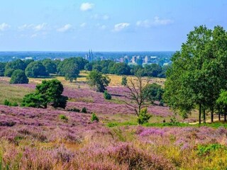 Parque de vacaciones Groesbeek Entorno 38