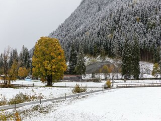 Chalet Hinterglemm Environnement 21