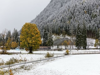 Chalet Hinterglemm Umgebung 21