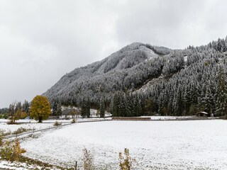 Chalet Hinterglemm Environnement 21