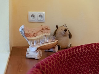 Chalet Hinterglemm  38