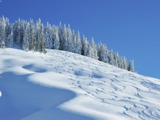 Chalet Hinterglemm Umgebung 35