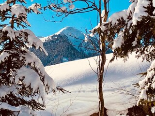 Chalet Hinterglemm Environnement 28