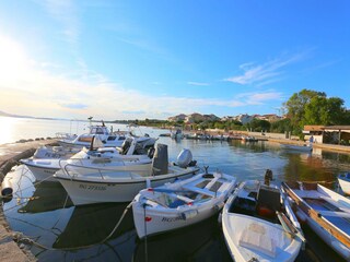 Parco vacanze Polača Ambiente 26