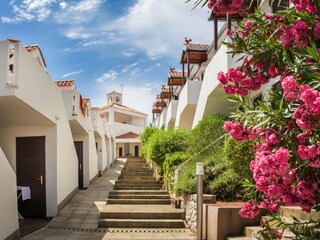 Vakantiepark Tisno Buitenaudio-opname 8