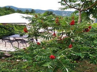 Ferienpark Ičići Außenaufnahme 13