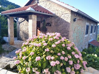 Ferienpark Ičići Außenaufnahme 14