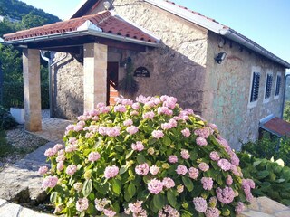 Parc de vacances Ičići Enregistrement extérieur 22