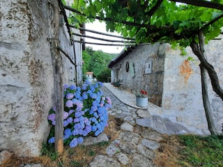 Holiday park Ičići Outdoor Recording 8