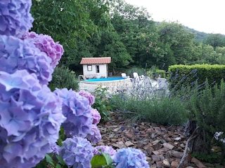 Ferienpark Ičići Außenaufnahme 18