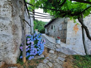 Parc de vacances Ičići Enregistrement extérieur 10