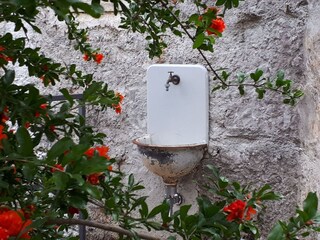 Vakantiepark Ičići Buitenaudio-opname 6