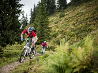 Apartment Niedernsill Umgebung 18