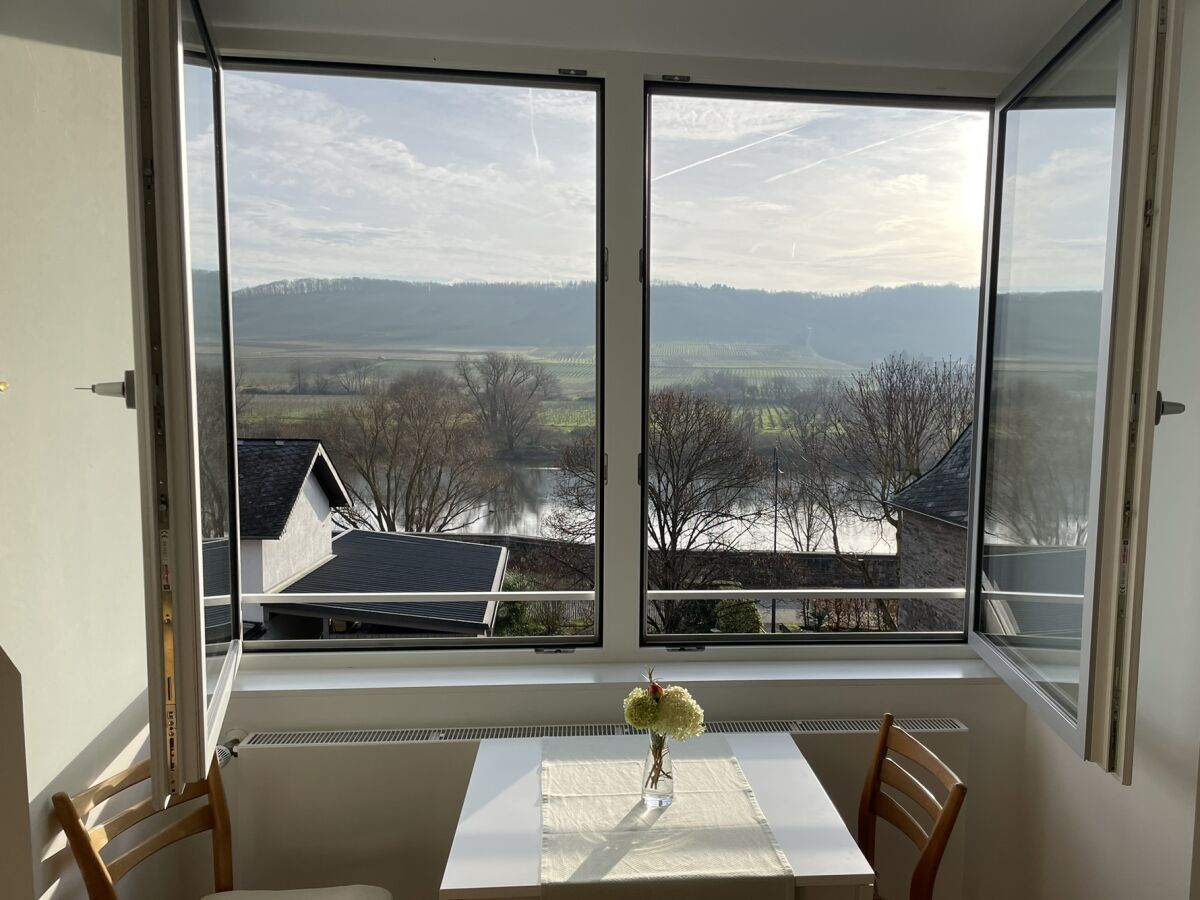 Ausblick auf die Mosel