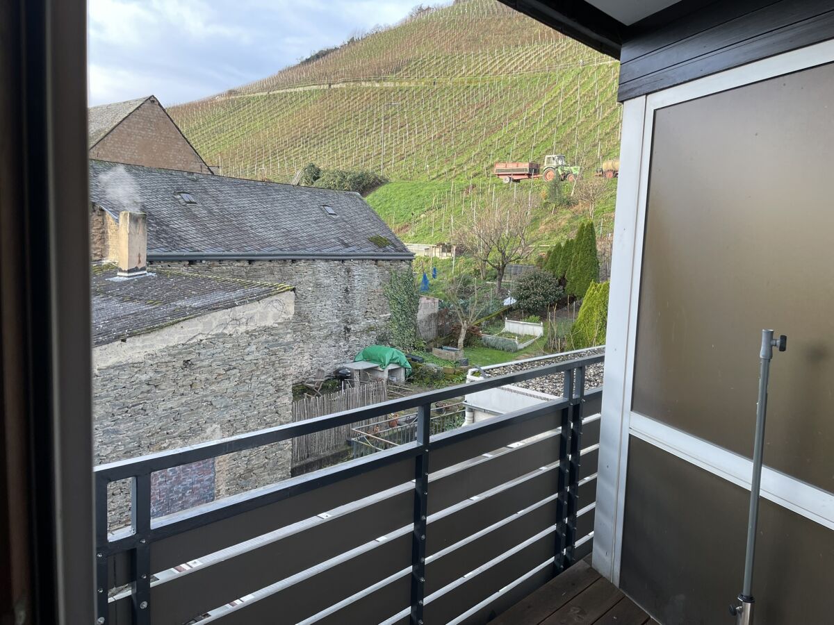 3  Südbalkone mit Blick auf Weinberge