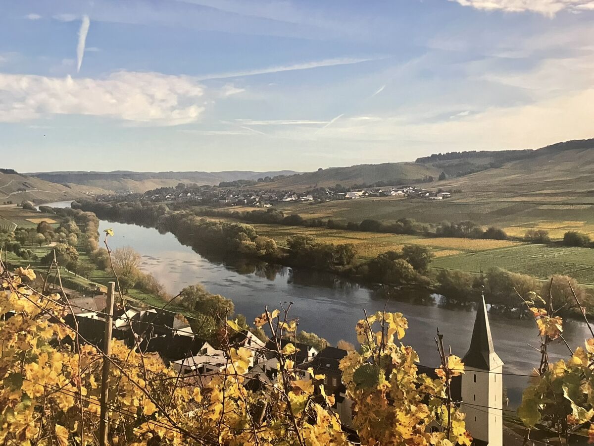 Blick auf Mosel und Kesten