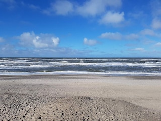 Ferienhaus Ringkøbing  12