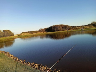 Ferienhaus Ringkøbing  14