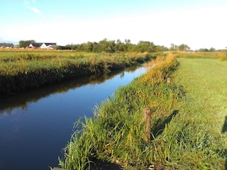 Ferienhaus Ringkøbing  14