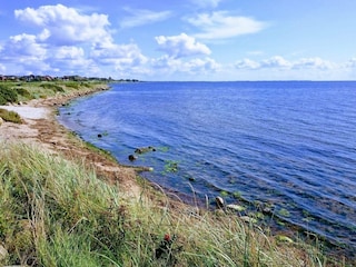 Ferienhaus Ringkøbing  17