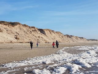 Ferienhaus Ringkøbing  19