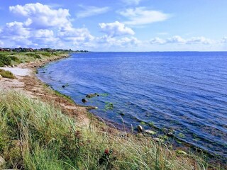 Casa per le vacanze Ringkøbing  29