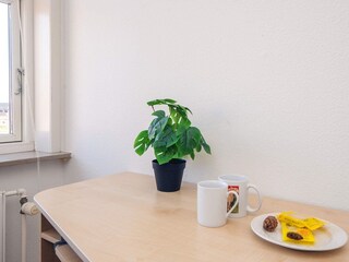 Vakantiehuis Ringkøbing  20