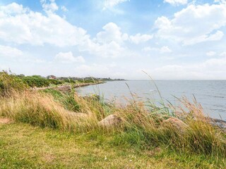 Casa de vacaciones Ringkøbing  2