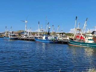 Ferienhaus Ringkøbing  36