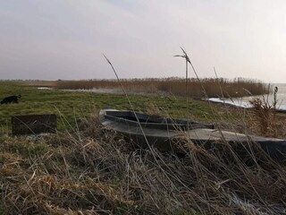Maison de vacances Ringkøbing  6