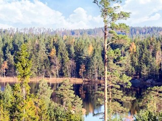 Ferienhaus Mellerud  12