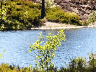 Ferienhaus Mellerud  22