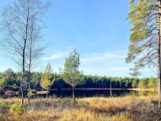 Ferienhaus Mellerud  27