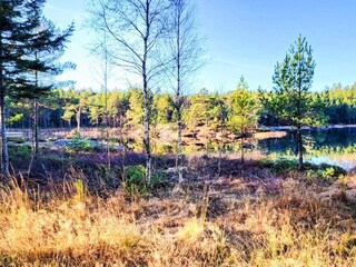 Ferienhaus Mellerud  29