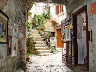 Parc de vacances Rovinj Environnement 19