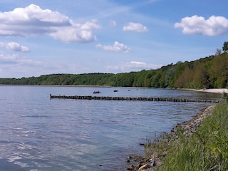 Insel Usedom - Kaminke / Oderhaff