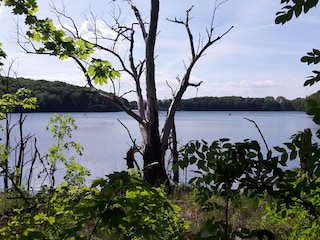 Blick auf den Wolgastsee / Insel Usedom