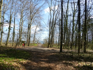 Rad- und Wanderweg Insel Usedom