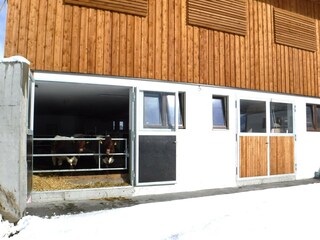 Appartamento per vacanze Rauris Ambiente 22