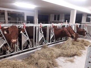 Appartamento per vacanze Rauris Ambiente 23