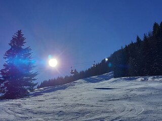 Appartamento per vacanze Rauris Ambiente 29