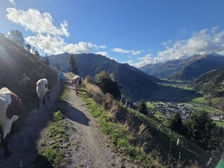 Appartamento per vacanze Rauris Ambiente 32