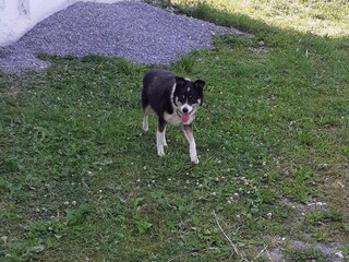 Appartamento per vacanze Rauris Ambiente 34