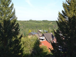 Holiday apartment Altenau im Oberharz Outdoor Recording 4